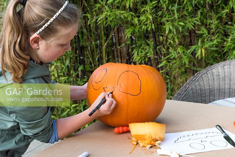 A young girl draws an outline of a nose onto a large pumpkin