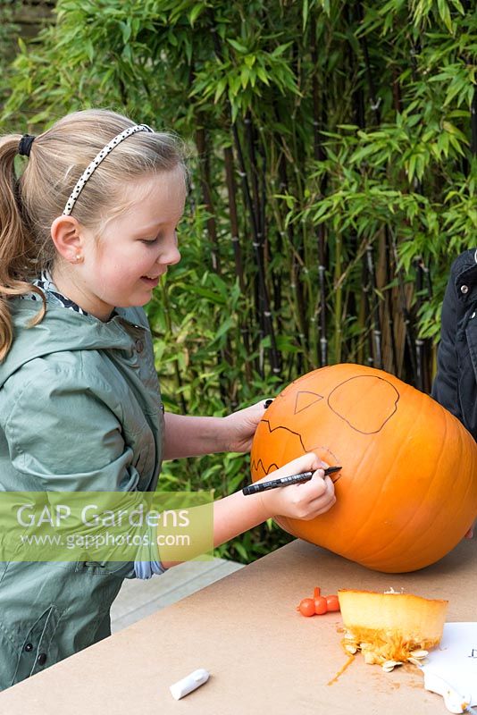 A young girl draws an outline of a mouth onto a large pumpkin