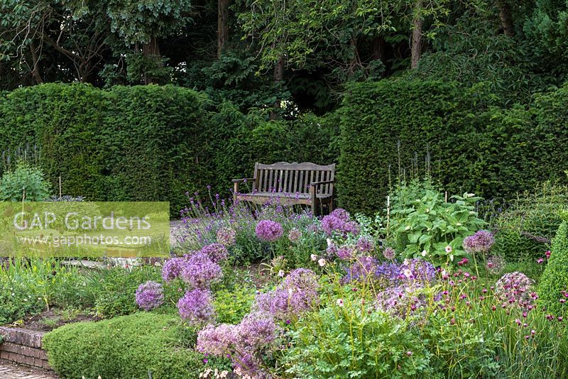 Sylvia's Garden at Newby Hall, a bench set into a yew hedge overlooks the sunken, formal layout of beds.