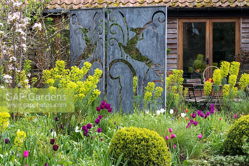 Metal screen by Paul Richardson creates privacy for sheltered patio,  borders of tulips and Mediterranean spurge.