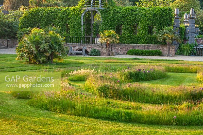 Lawn with meadow of grasses and Allium christophii - Collector earl's garden, Arundel Castle, West Sussex