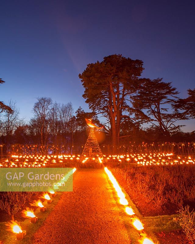 Scented Fire Garden, Blenheim Palace, Oxfordshire, November.
