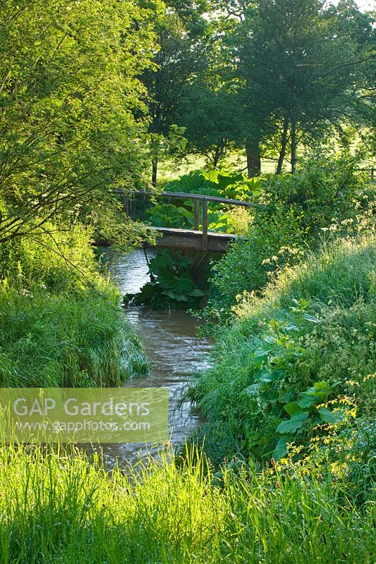 Stream with wooden bridge, Brockhampton, Herefordshire.