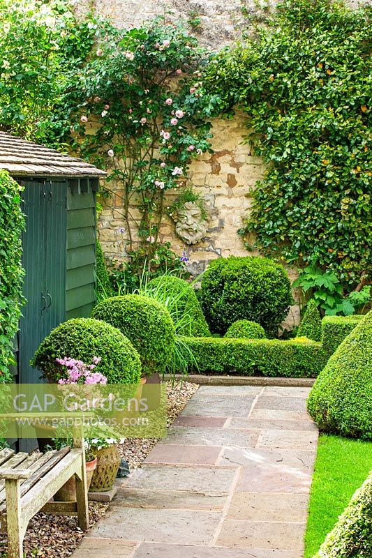 Garden shed with Box topiary, Oxfordshire, June.