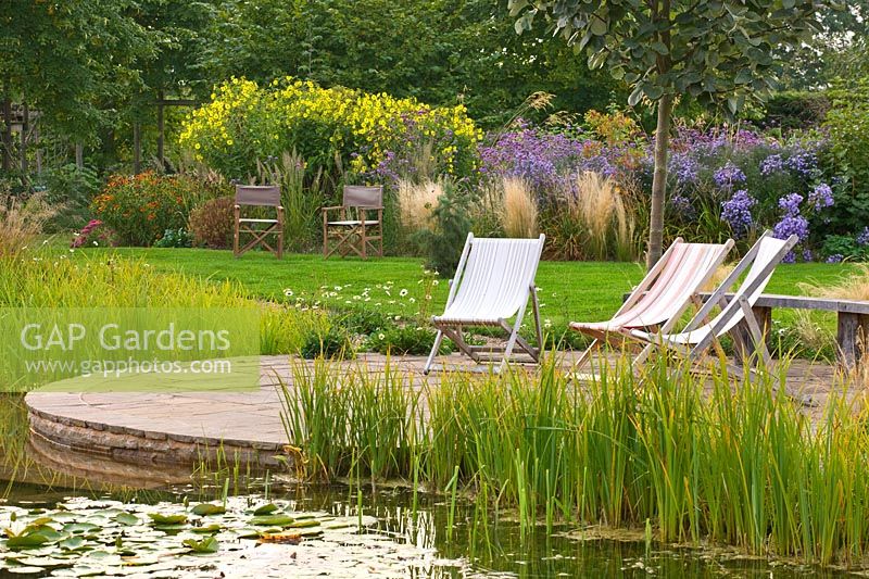 Natural swimming pool with marginal planting and waterside seating area.
In the background a perennial border with Helianthus 'Lemon Queen', asters and Verbena bonariensis