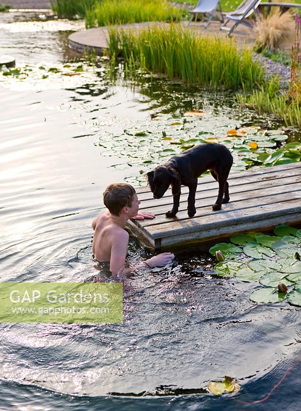 Boy playing in the 'natural' swimming pool with pet dog by wooden jetty