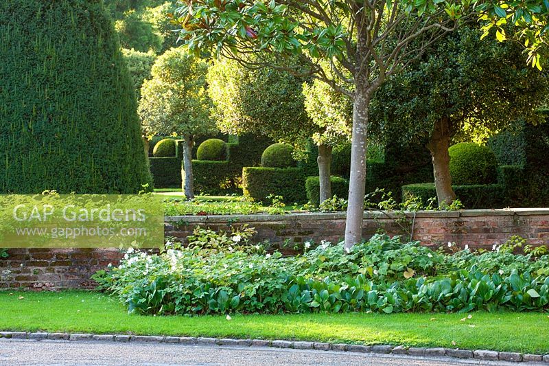 View from drive of low brick wall into formal topiary garden beyond
