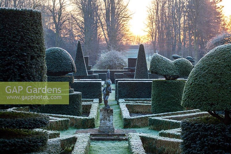 A formal garden with clipped topiary shapes in yew
