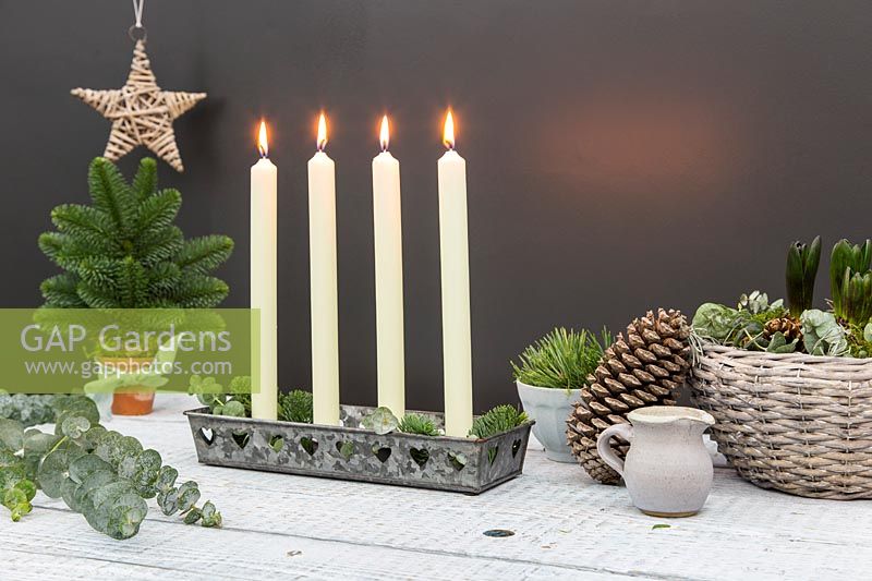 Advent candle table centrepiece