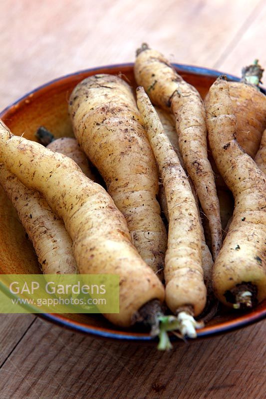 Home grown garden carrots - Daucus carota 'CrÃ¨me de Lite'