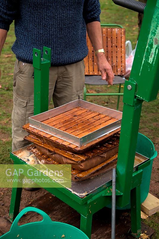 Rack & Cloth Screw Press in use at Community apple juicing day in Sampford Peverell, Devon, late October