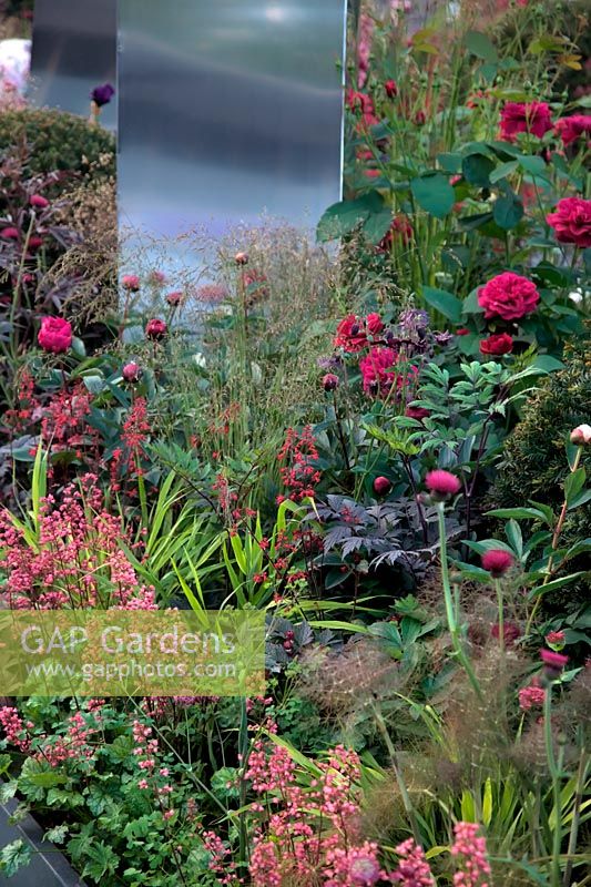 RHS Chelsea Flower Show 2014 - Positively Stoke-on-Trent -  Designers: Bartholomew Landscaping and Stoke-on-Trent City Council. Show Garden Planting Detail
