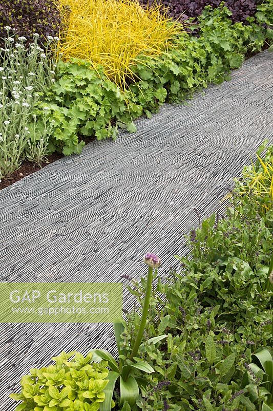 Slate path edged with Alchemilla. The SeeAbility Garden Designer Darren Hawkes Sponsor Coutts. RHS Chelsea Flower Show