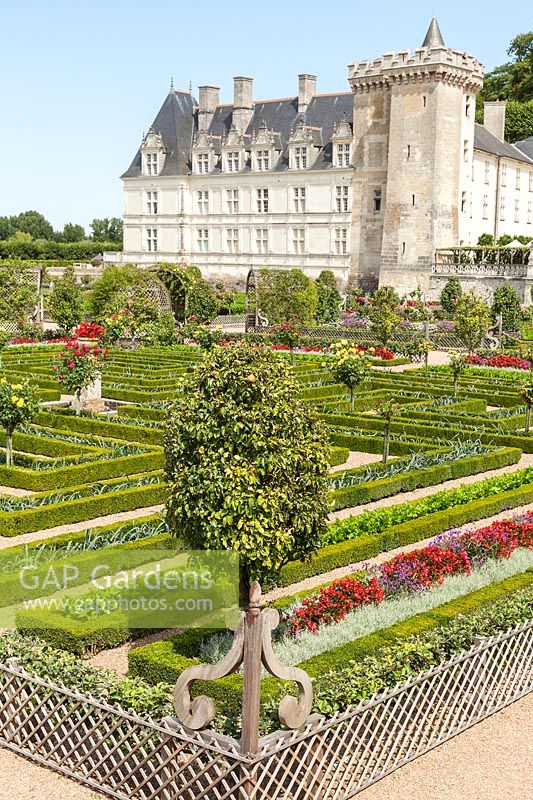 The formal potager kitchen gardens parterre at the Chateau de Villandry, Loire Valley, France. A UNESCO World Heritage Site