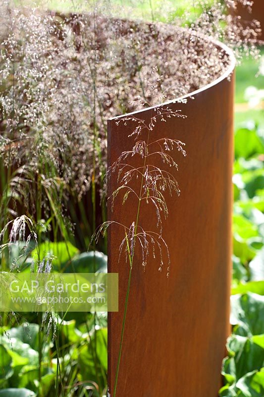 Contemporary garden with curved rusted corten steel panel and Deschampsia cespitosa 'Bronzeschleier' grasses RHS Hampton Court