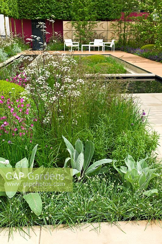 Contemporary garden and planting, RHS Chelsea Flower Show, Designer Robert Myers. Verbascum, Luzula, Anthriscus, Silene