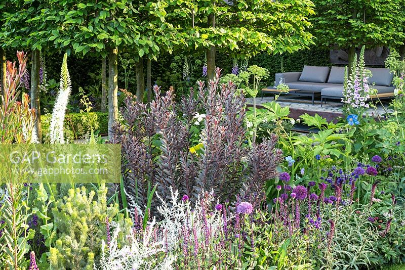 Planting including Leucodendron in Support, The Husqvarna Garden. Designer: Charlie Albone. RHS Chelsea Flower Show