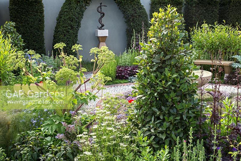 The St John's Hospice - A Modern Apothecary garden. RHS Chelsea Flower Show. Designer Jekka McVicar. Credit: © Rob Whitworth