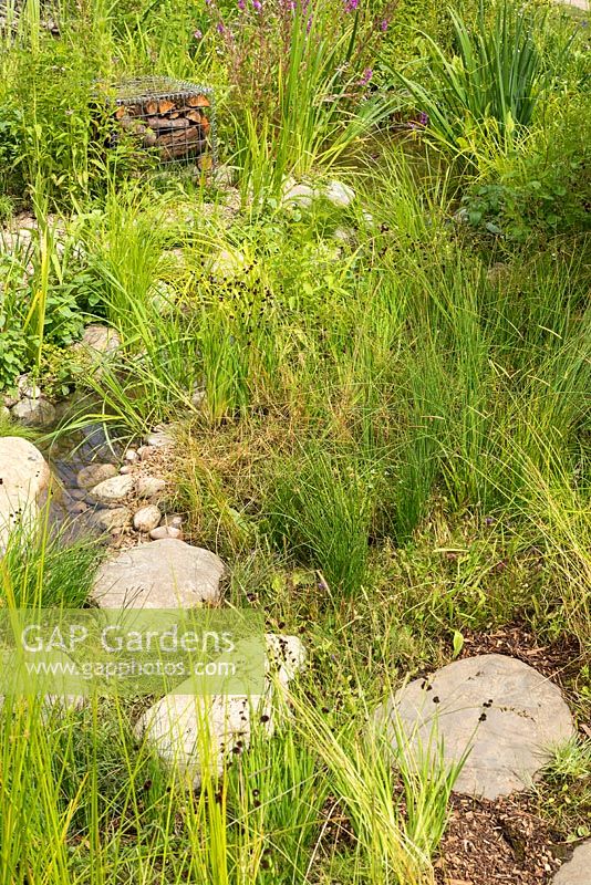 Grasses and stepping stones in The WWT Working Wetlands Garden, RHS Hampton Court Flower Show 2016. Designer Jeni Cairns.