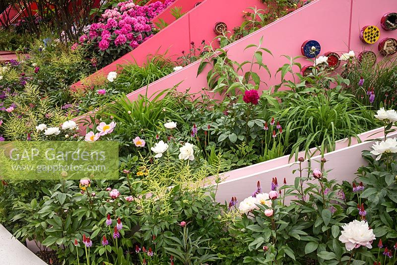 The Silk Road Garden, Chengdu, China garden at the RHS Chelsea Flower Show 2017. Sponsor: Creativersal. Designers: Laurie Chetwood and Patrick Collins