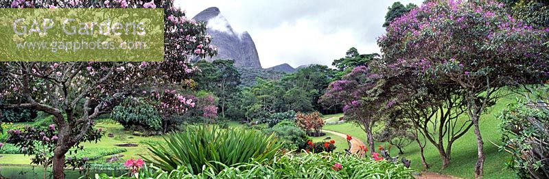 Panoramic view of the Monteiro Garden, Petropolis, Brazil designed by Roberto Burle Marx