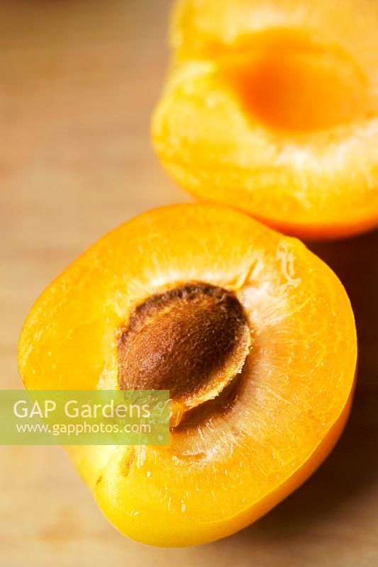 Sliced apricot (Prunus armeniaca), table top