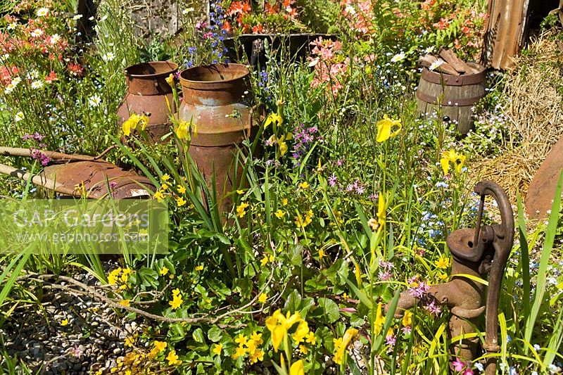 meadow flowers with old rusty milk churns