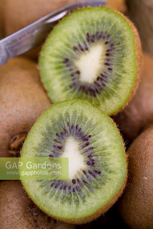 Kiwi fruit (Actinidia deliciosa) sliced in half