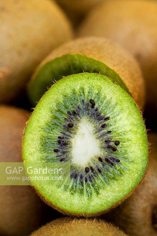 Kiwi fruit (Actinidia deliciosa) sliced in half