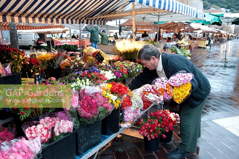 Flower stalls, flower market, man, Marche aux Fleurs, the old city, Nice, France