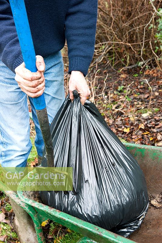 Making compost from collected leaves in a black bin. Using a fork to puncture the bag to allow air to enter