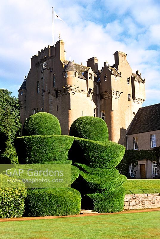 Crathes Castle Deeside Aberdeenshire with large yew topiary known as the Eggcups leading to lawns and garden