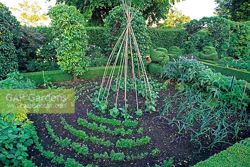 Formal English vegetable garden with box hedge, bed, fruit trees & perennial flowering shrubs