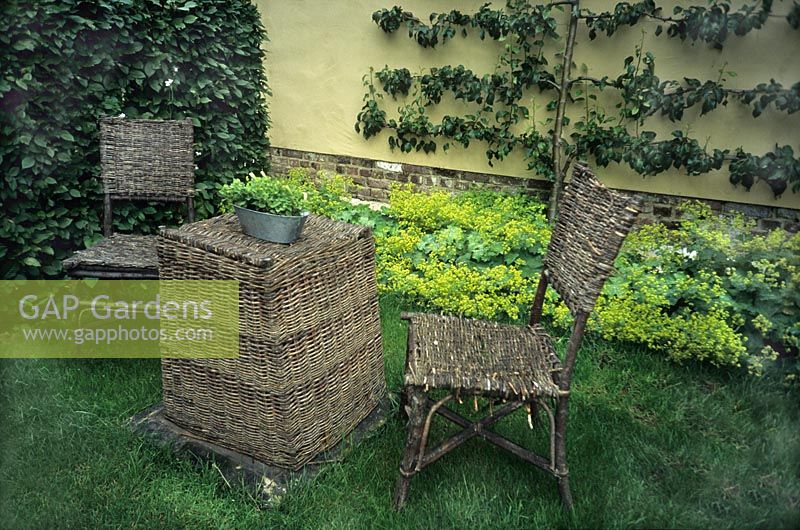 Woven table and chairs in small walled garden with espalier trees