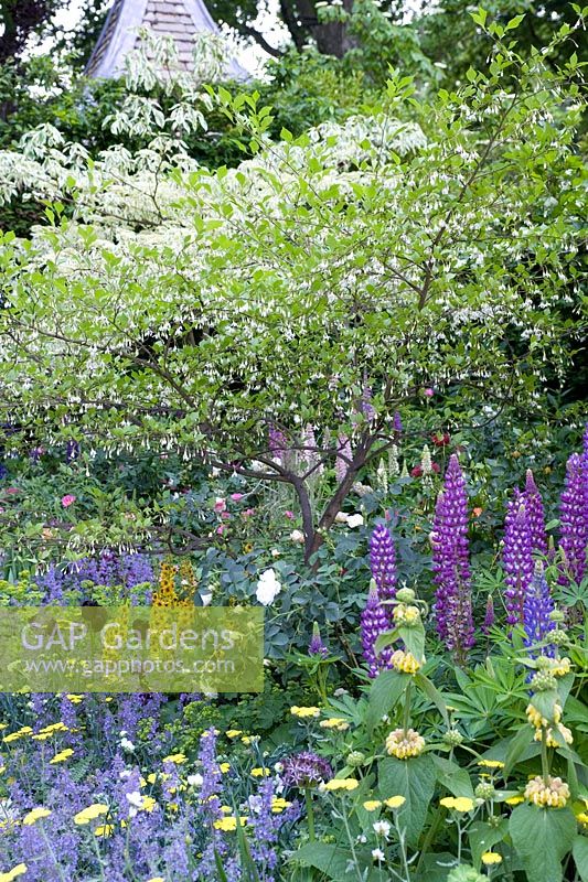 The Chris Beardshaw Garden Design by Chris Beardshaw RHS Chelsea 2007 Silver Gilt Based on Hidcote