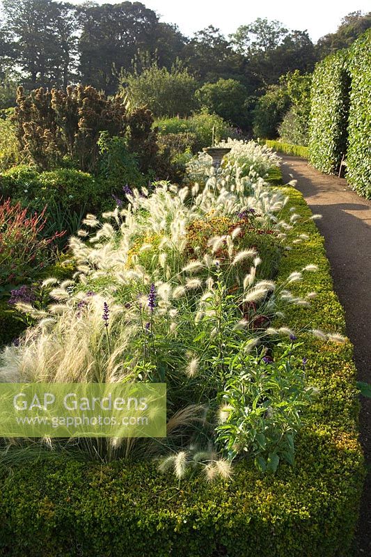 Cambo Walled Garden, Fife, Scotland, UK border grass box hedging path Pennisetum villosum