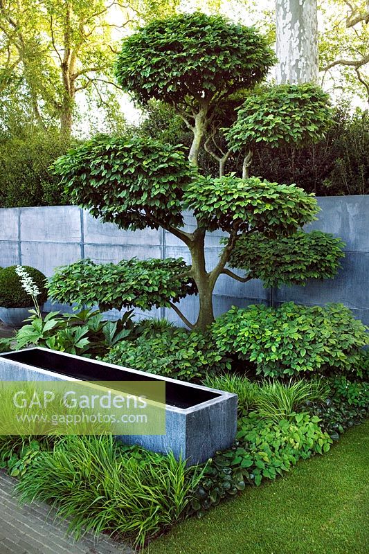 Laurent Perrier Chelsea Tom Stuart Smith 2008 show garden with paving, cloud pruned hornbeam, zinc water tanks & perennial plant