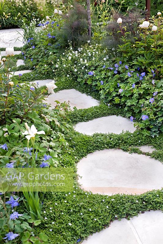 The Trailfinders Australian Garden at RHS Chelsea Flower Show 2011 with Fleming's Nurseries and design by  Ian Barker