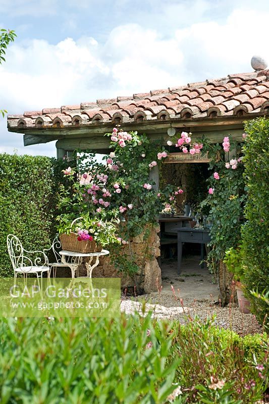 The Flower House covered with climbing roses at Borgo Santo Pietro, Tuscany.