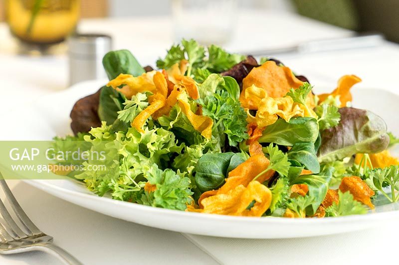 Leaf lettuce with veggie chips and parsley