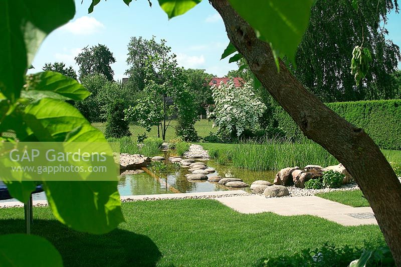 Garden scenery with natural swimming pond in summer
