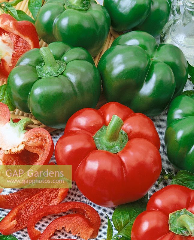 Paprika/Capsicum annuum EARLY RED CHEESE F1