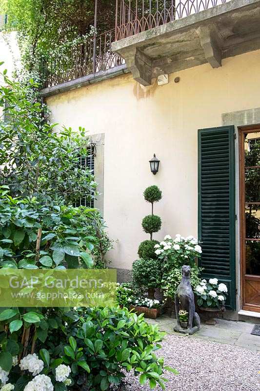 Palazzo Malenchini, Florence, Italy, chic courtyard garden with topiary and dog statue