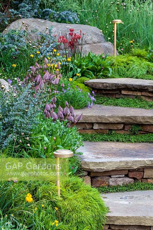 Chelsea Flower Show, 2013. Steps with lighting, leading through contemporary garden