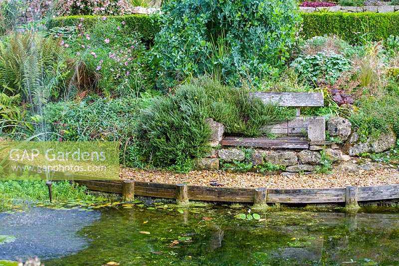 Special Plants ( Derry Watkin's garden ), Bath, UK. Late summer, pond with rustic wooden bench