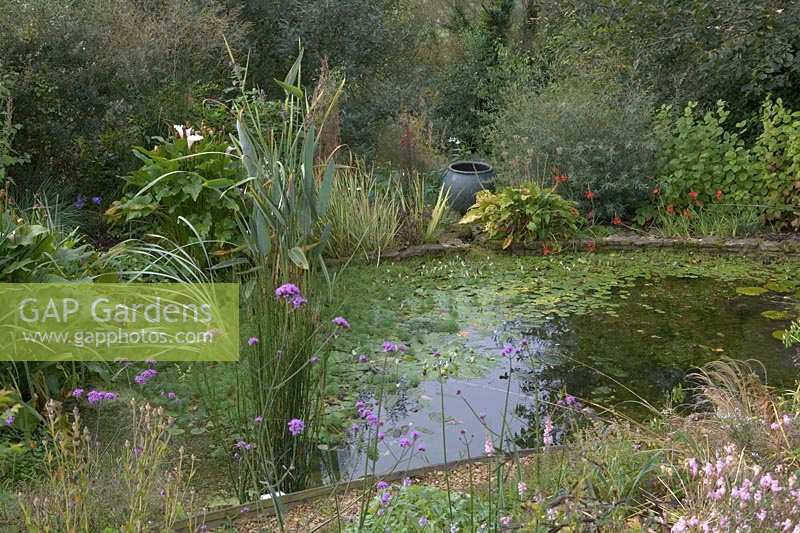 Special Plants ( Derry Watkin's garden ), Bath, UK. Late summer,  informal pond with focal point urn