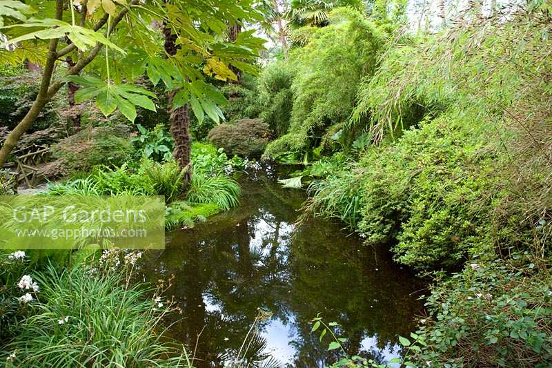 Compton Acres, Dorset, UK. shady wooded garden