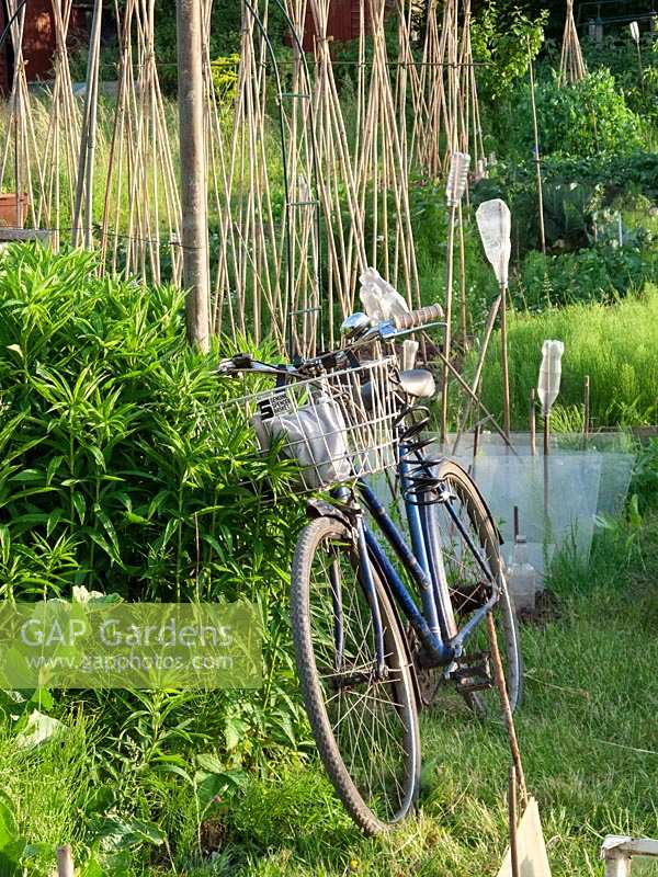 Bicycle on allotment