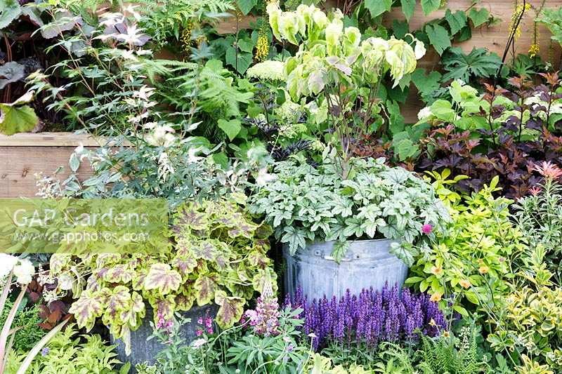 Hampton Court Flower Show 2016. 'Feel Good Front Garden'