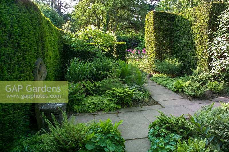 Kiftsgate Court, Gloucestershire, UK, ( Chambers ) Summer. Tranquil corner planted with ferns and shade loving foliage plants